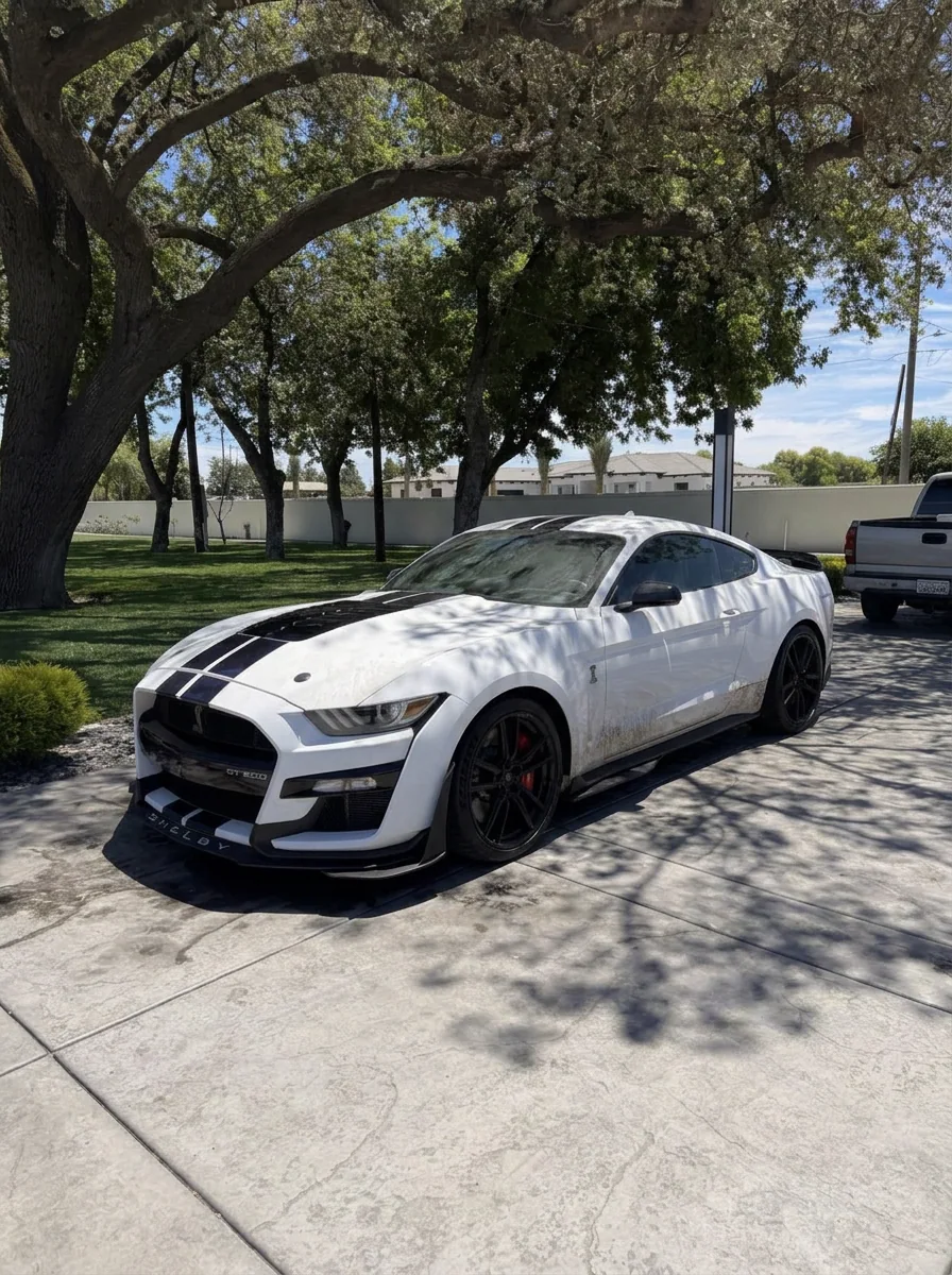 Illustrative pre-detail view of White Shelby GT500